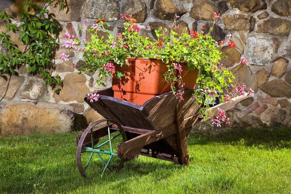 Villa Antico Borghetto Di Tigliano Vinci Extérieur photo